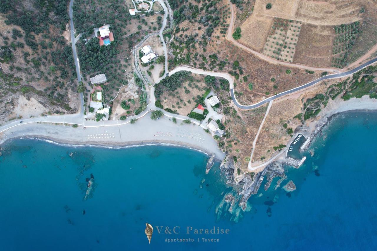 V&c Paradise * Rodakino